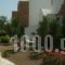 Fikas Hotel_best deals_Hotel_Cyclades Islands_Naxos_Naxos Chora