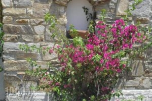 Fikas Hotel_travel_packages_in_Cyclades Islands_Naxos_Naxos Chora