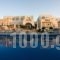 Kallisti Rooms & Apartments_accommodation_in_Room_Cyclades Islands_Paros_Paros Chora