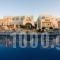 Kallisti Rooms & Apartments_accommodation_in_Room_Cyclades Islands_Paros_Paros Chora