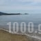 Pension Karvounoskala_holidays_in_Hotel_Macedonia_Halkidiki_Chalkidiki Area