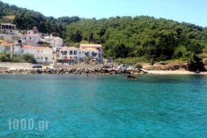 Villa Violetta_holidays_in_Villa_Aegean Islands_Samos_Karlovasi