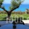 Avia_best deals_Hotel_Thessaly_Magnesia_Koropi