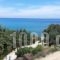 Mediterraneo Apartments_holidays_in_Apartment_Dodekanessos Islands_Rhodes_Archagelos