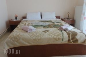 Pension Delfini_best prices_in_Hotel_Macedonia_Thessaloniki_Thessaloniki City