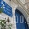 Angelina Studios_holidays_in_Hotel_Cyclades Islands_Paros_Paros Chora