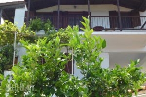 See To Sea_best prices_in_Hotel_Sporades Islands_Skopelos_Skopelos Chora