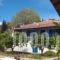 Sipsas Villas_holidays_in_Villa_Thessaly_Magnesia_Pilio Area