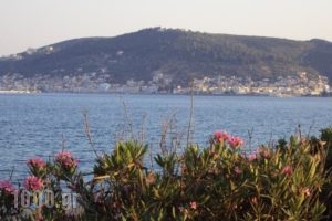 Niriides Resort_best deals_Hotel_Peloponesse_Lakonia_Gythio