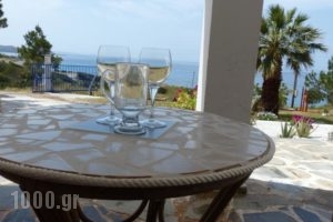 Adia Sunset Studios_best deals_Hotel_Dodekanessos Islands_Kasos_Kasos Chora