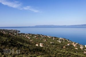 Verga Villas Resort_holidays_in_Villa_Thessaly_Magnesia_Koropi