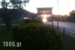 Studios Evridiki in Tsepelovo, Ioannina, Epirus