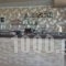 Holidays Apartments_accommodation_in_Apartment_Dodekanessos Islands_Rhodes_Rhodes Areas