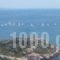 Cavo D' Oro_best deals_Hotel_Central Greece_Attica_Piraeus