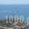 Cavo D' Oro_best deals_Hotel_Central Greece_Attica_Piraeus