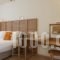 Golden Age Hotel_best prices_in_Hotel_Central Greece_Attica_Athens