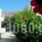 Kosmos Studios_lowest prices_in_Hotel_Dodekanessos Islands_Tilos_Tilos Chora