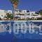 Fragoulis Village_holidays_in_Hotel_Cyclades Islands_Antiparos_Antiparos Chora