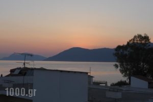 Iliahtida Apartments_best prices_in_Apartment_Central Greece_Evia_Limni