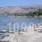 Camping Argostoli_best prices_in_Hotel_Ionian Islands_Kefalonia_Kefalonia'st Areas