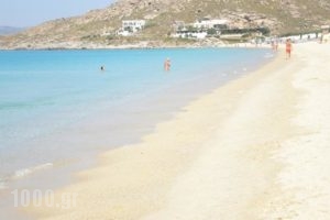 Studios Tasia_lowest prices_in_Hotel_Cyclades Islands_Naxos_Naxos chora
