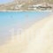 Studios Tasia_lowest prices_in_Hotel_Cyclades Islands_Naxos_Naxos chora