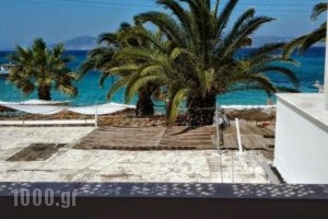 Elli Studios_lowest prices_in_Hotel_Cyclades Islands_Naxos_Agia Anna