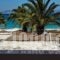 Elli Studios_lowest prices_in_Hotel_Cyclades Islands_Naxos_Agia Anna