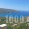 Olga House_travel_packages_in_Peloponesse_Lakonia_Itilo