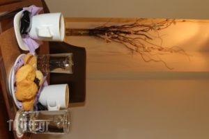 Hotel Athina_best deals_Hotel_Central Greece_Fthiotida_Lamia