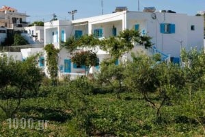 Mira Mare Studios_holidays_in_Hotel_Dodekanessos Islands_Lipsi_Lipsi Chora