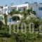 Mira Mare Studios_holidays_in_Hotel_Dodekanessos Islands_Lipsi_Lipsi Chora