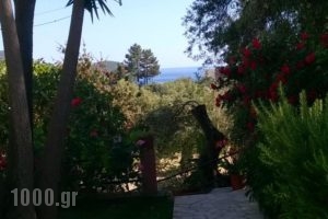 Bozikis Apartments & Studios_travel_packages_in_Ionian Islands_Corfu_Palaeokastritsa