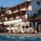 Angelina Studios_accommodation_in_Hotel_Sporades Islands_Skiathos_Skiathoshora