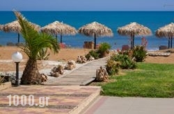 Marine Claire in Syros Rest Areas, Syros, Cyclades Islands