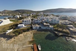 Apollon Rooms_lowest prices_in_Room_Cyclades Islands_Milos_Apollonia