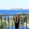 Oskars Studios_travel_packages_in_Ionian Islands_Kefalonia_Argostoli