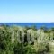 Oskars Studios_best deals_Hotel_Ionian Islands_Kefalonia_Argostoli