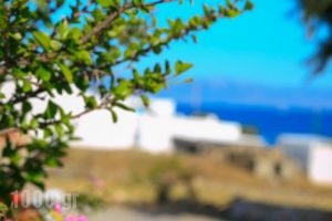 Nicos Studios & Apartments_holidays_in_Apartment_Cyclades Islands_Paros_Paros Chora