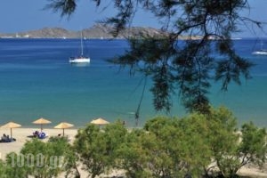 Hotel Senia_travel_packages_in_Cyclades Islands_Paros_Paros Chora