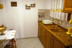 Avlonitis Rooms_lowest prices_in_Room_Epirus_Preveza_Parga