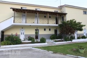 Yiannis Studios_best prices_in_Hotel_Central Greece_Evia_Artemisio
