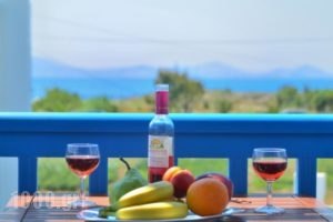 Summer Memories Studios_best deals_Hotel_Cyclades Islands_Naxos_Naxos chora