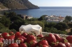 Alkyonis Apartments in Kalimnos Chora, Kalimnos, Dodekanessos Islands