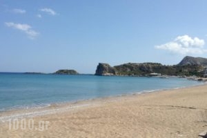 Delfini Beach Hotel_lowest prices_in_Hotel_Dodekanessos Islands_Rhodes_Stegna