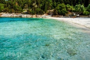 Alexia Ferentinou_lowest prices_in_Hotel_Ionian Islands_Kefalonia_Lixouri