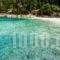 Alexia Ferentinou_lowest prices_in_Hotel_Ionian Islands_Kefalonia_Lixouri