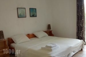 Armenistis View Studios_lowest prices_in_Hotel_Aegean Islands_Ikaria_Raches