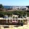 Franky_accommodation_in_Hotel_Cyclades Islands_Antiparos_Antiparos Chora