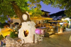 Thassos Inn_holidays_in_Hotel_Aegean Islands_Thasos_Thasos Chora